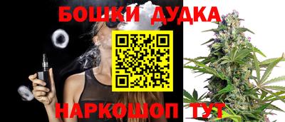 дмт Будённовск