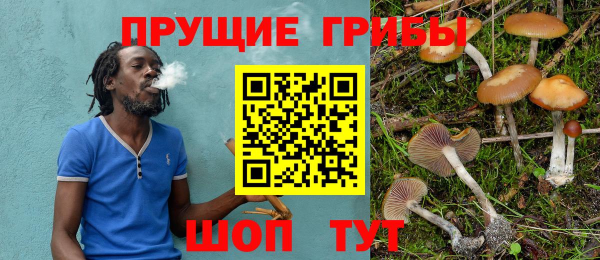 Галлюциногенные грибы GOLDEN TEACHER Луховицы