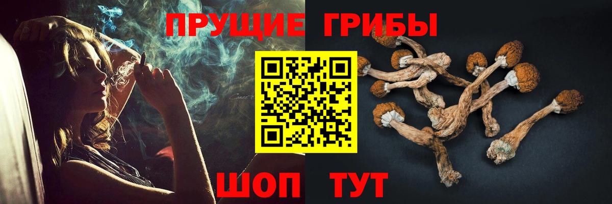 Псилоцибиновые грибы Psilocybe  Галлюциногенные грибы MAGIC MUSHROOMS  Вход с VPN  Луховицы 